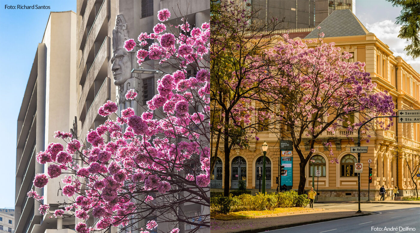 Exposição Primavera